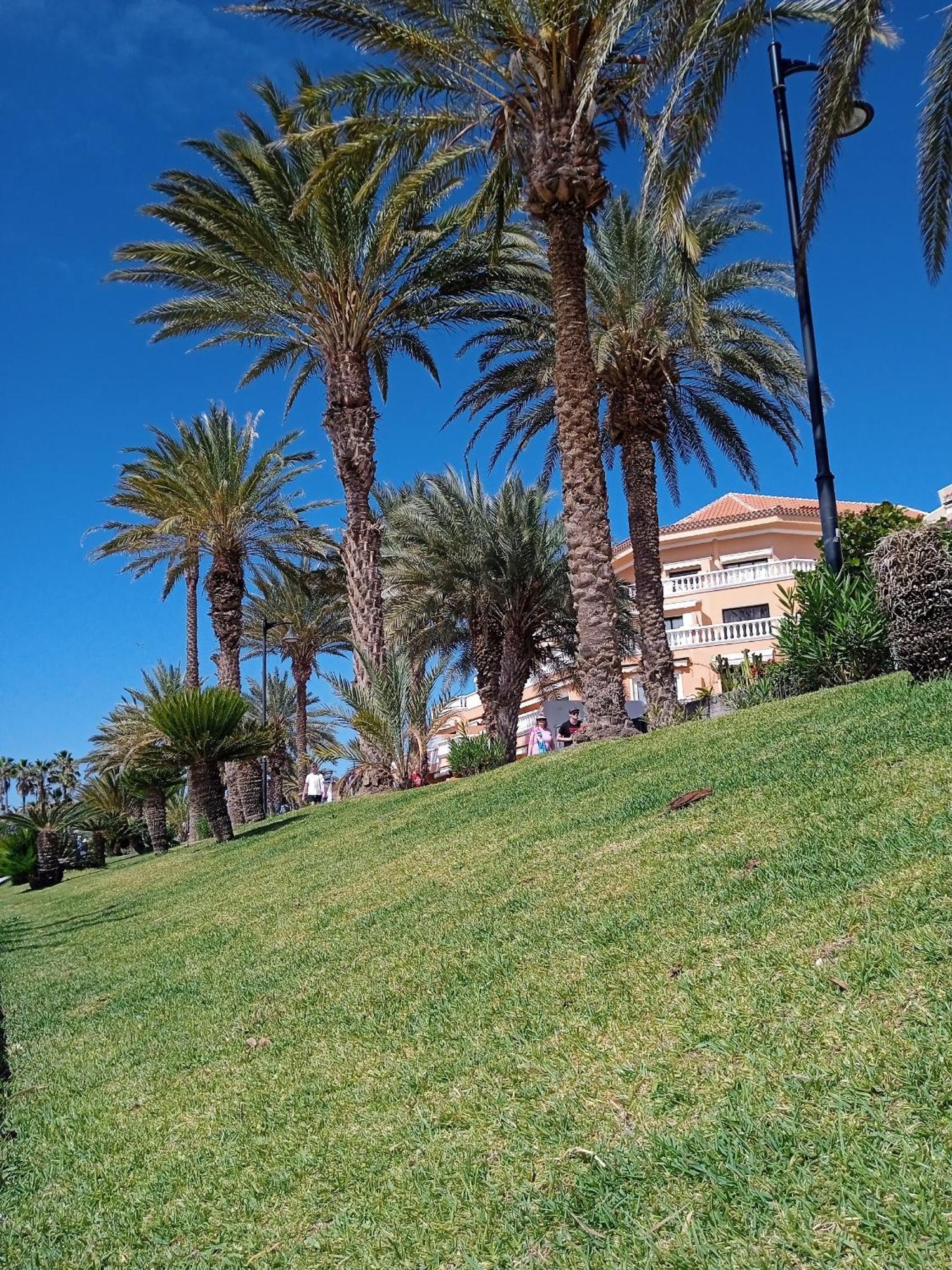 Apartamento Familiar Con Piscina Con Wi Fi En Los Cristianos ลอส กริสเตียนอส ภายนอก รูปภาพ